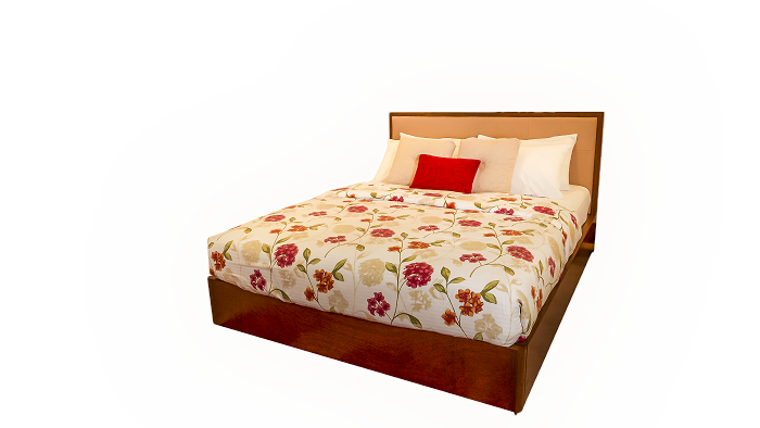 BED 325.19 — alternate view